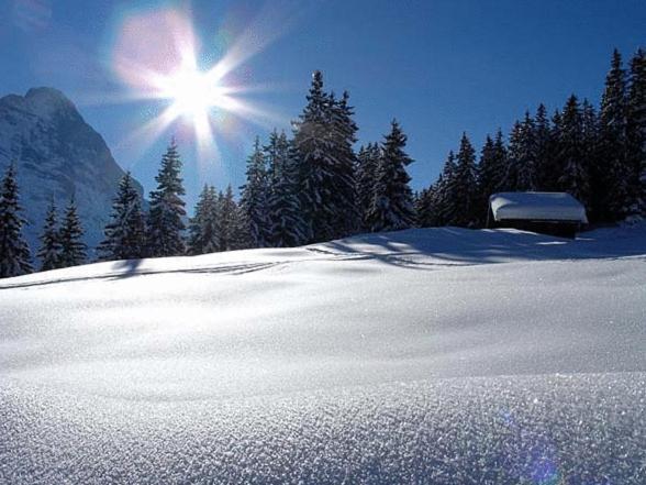 Hotel Steinbock Grindelwald Eksteriør billede